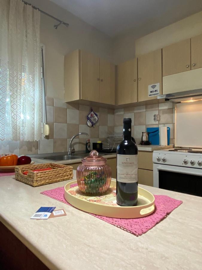 Cozy And Quiet Mini City Apartment 트리칼라 외부 사진